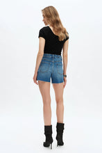 Load image into Gallery viewer, Valentine High Rise Jean Shorts

