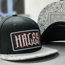 Load image into Gallery viewer, HSS Dealer SnapBack
